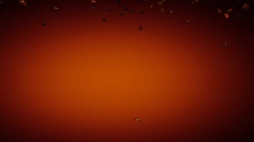 Realistic Coffee Beans Flying Reveal Animation