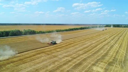 Aerial of Combines Working in the Field Harvesting Crops Gathering Season