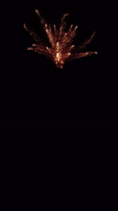 Glowing Particle Burst Reveal Transition