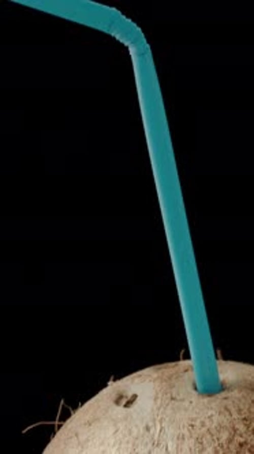 Vertikales Video. Eine haarige Kokosnuss mit einem blauen Strohhalm zum Trinken ihres Saftes auf einem schwarzen
.