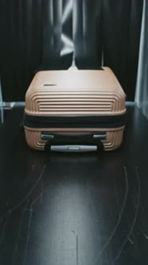 Security Checkpoint in Airport Terminal Xray Luggage Scanning Procedure