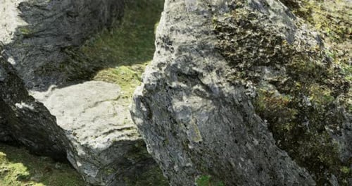 Slow Camera Movement Through Detailed Natural Rock Formation