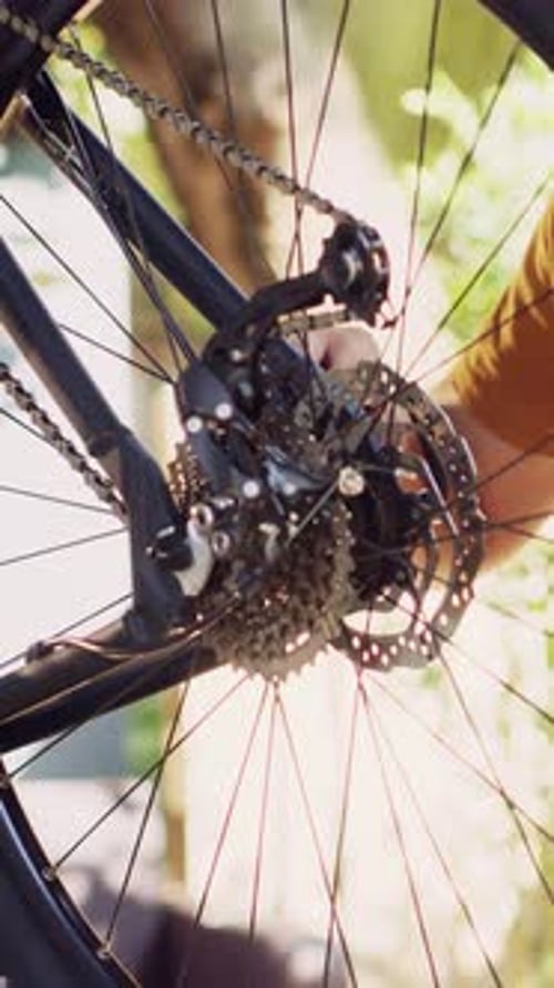 Bicycle Tire and Gear Mechanism Close Up