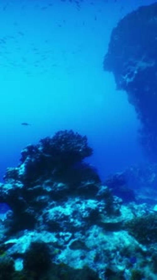A Large Rock in the Middle of the Ocean