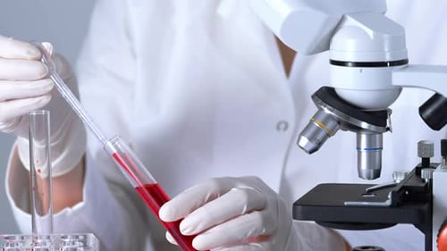 Scientist Works with Blood Sample in Lab