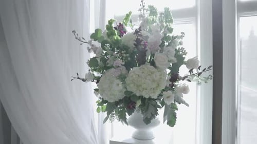 Elegant White Flower Arrangement in Natural Light