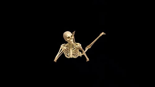 Skeleton Laying Front