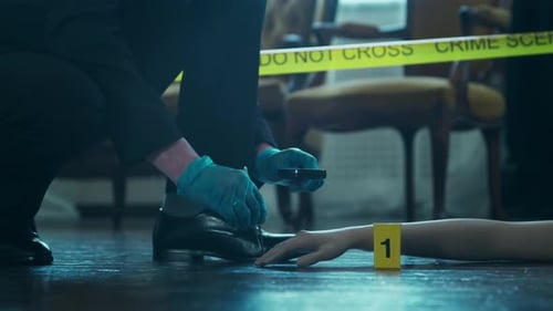 Investigator Examines Crime Scene Evidence Indoors