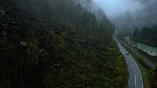 Journey unfolds where dreams reside, on a misty road, the car will glide