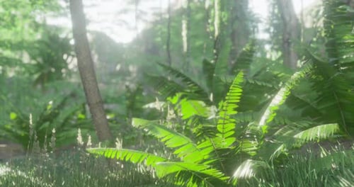 Lush Green Foliage Flourishes Under the Warm Sunlight in a Tranquil Forest
