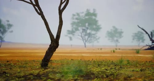 Realistic Arid Landscape Background with Slow Camera Pan