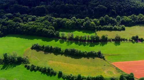 Drohnenblick auf üppige grüne Felder, die durch Baumreihen und Waldrand getrennt sind, in einer ruhigen ländlichen Landschaft o