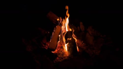 Campfire Burning Brightly at Night