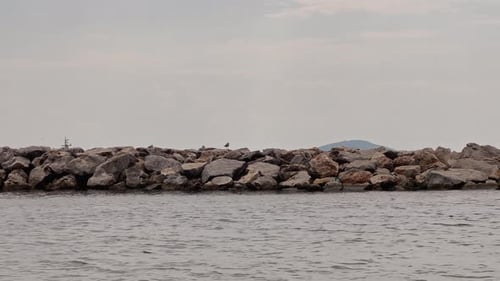 beach, waves in the sea; birds, seagulls flying