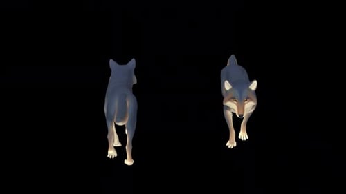 Wolf Walk Idle