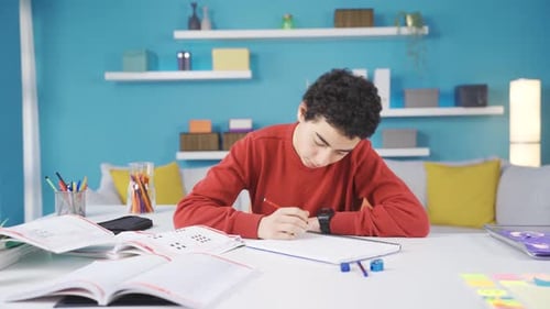 Teen Studies at Desk at Home