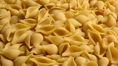 Golden Heap of Dry Conchiglie Shell Pasta