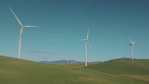 Large wind power plant in the green field with blue sky