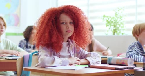 Cute Schoolgirl Sitting at Desk Smiles in Classroom