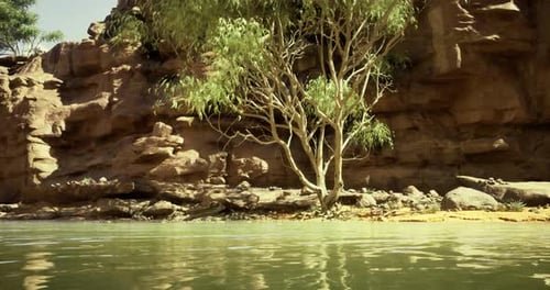 Scenic Riverside View Featuring Rocks and a Lone Tree in Sunlight