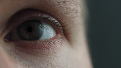 Detail Of Human Eye Looking Around - Eyesight. - closeup shot