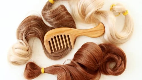Blond Brown Shiny Wavy Hair on White Background Shiny Woman Hair Strand Curl Hair Care and Beauty
