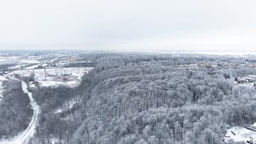 Aerial View of Snow-Covered Winter Forest Landscape