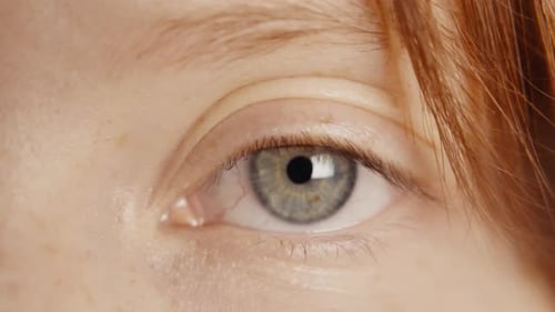 Slow Motion Extreme Close Up of Woman Blinking Beautiful Green Eye