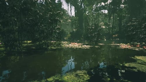Exploring the Lush Jungle Landscapes of Vietnam with Tranquil Water Reflections