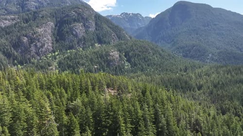 Aerial video of wilderness and forest in British Columbia, Canada