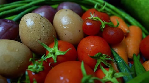 Fresh Organic Vegetables Close-Up Shot