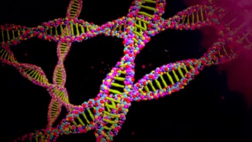 Animated Colorful DNA Double Helix Strands Loop