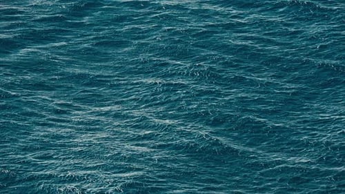 Sea