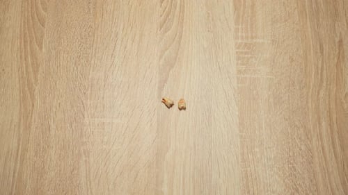 Extracted Teeth Displayed on Wood Surface