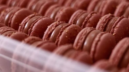 Brown sweet french macaron cakes with chocolate topping in row on the cafe display. Sets of desserts