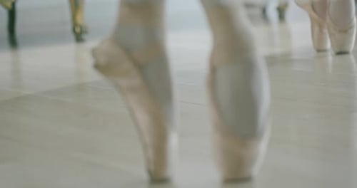 Ballet Dancer Feet in Pointe Shoes