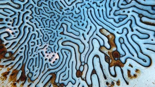 Abstract patterns of swirling blue and brown liquid blending in a close-up microscopic view