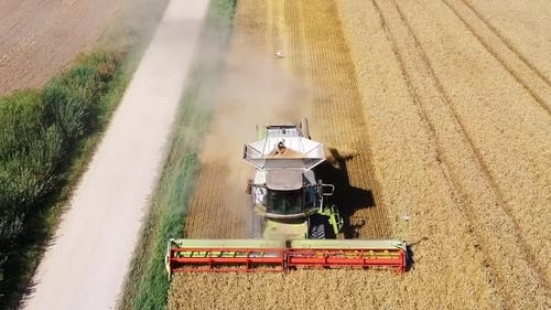 Drone Shot Flying Over Combine Harvesters Working on Wheat Field. Food Industry Concept.