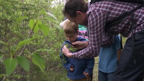 Father and Children Looking at Forest Plants Through Magnifier Active