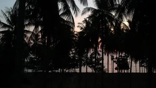 Sunset golden hour on beach colourful red and blue silhouette from palms in asia with drone