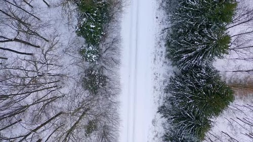 Snowy road in woodland. Amazing view on a way in winter forest in snowy weather. Top view.