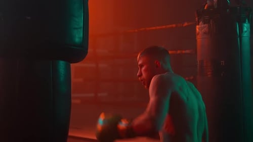 Boxerboxer Fight im Boxer-Stil, Rot