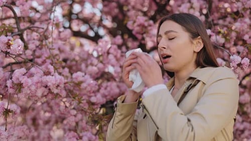 Woman with Allergies Sneezing in Front of Cherry Blossoms