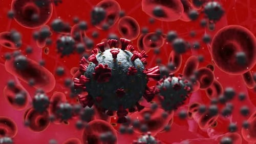 Animation of covid 19 and red blood cells floating over red background