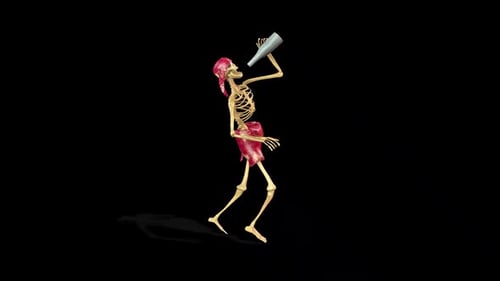 Skeleton Pirate the Drunk