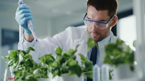 Scientist in Lab Examines Plants with Pipette