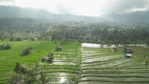 Awesome view of scenic rice terraces in Bali, Indonesia