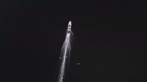 Seagulls Flies Behind a Boat on the Sea