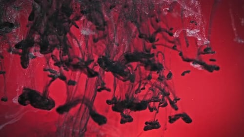 Abstract Black Ink Flowing in Red Liquid