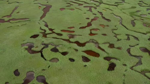 Luftbild einer überfluteten Wiese mit grünem Gras und braunem Boden